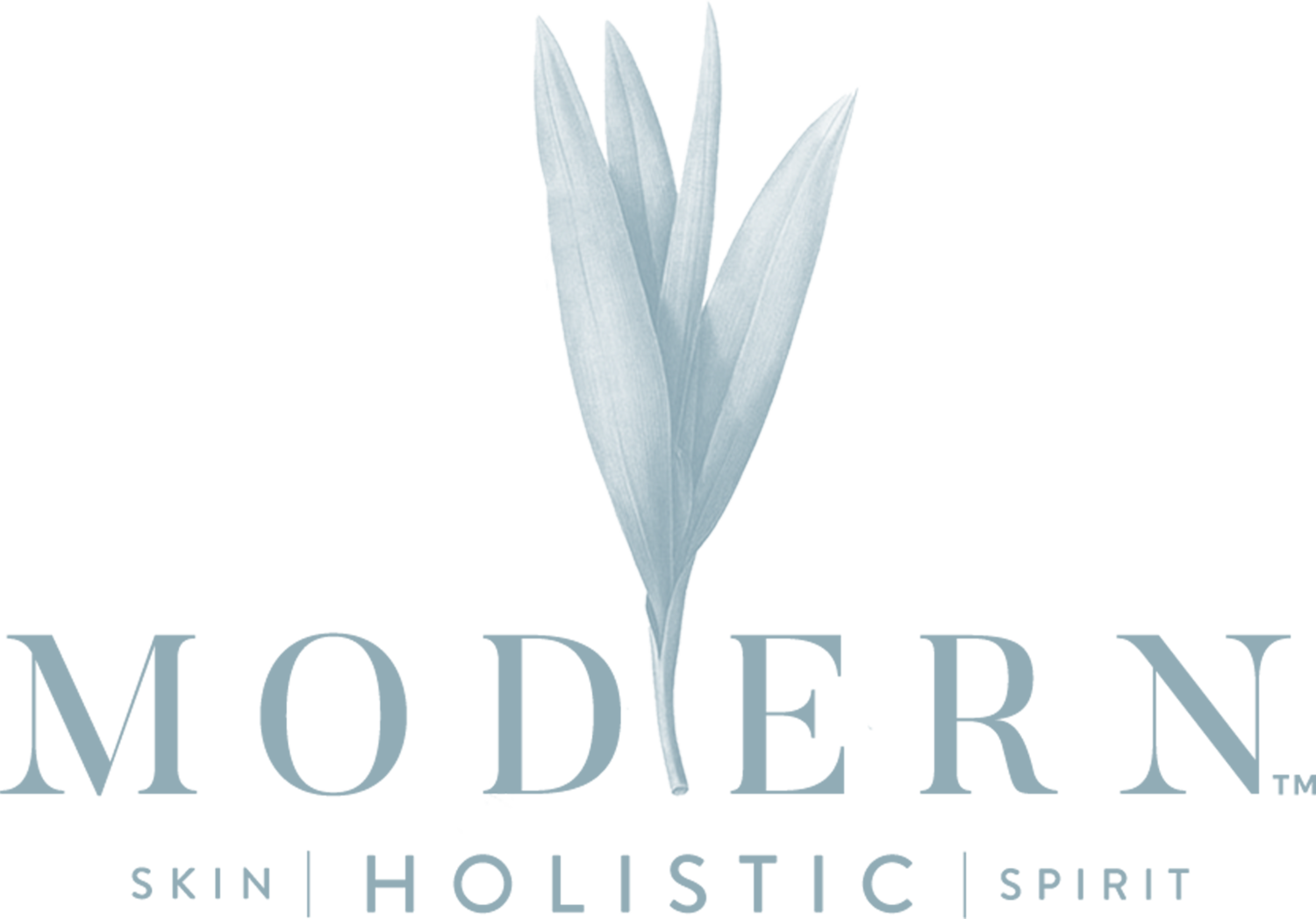 modern-logo