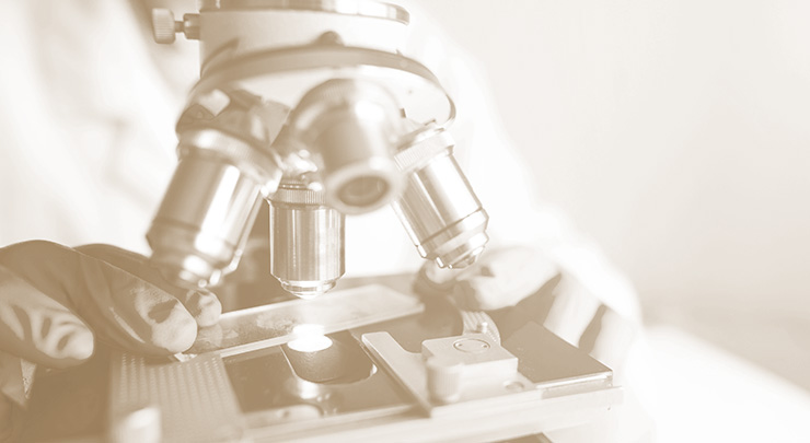 Close up of examining of test sample under the microscope in laboratory.